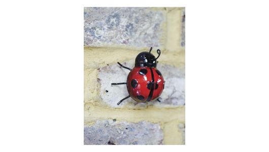 Ladybird WallArt - Marienkäfer klein