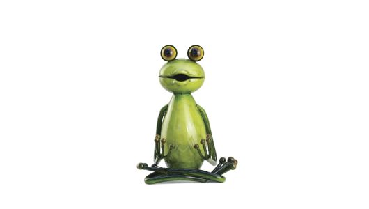 Yoga Frogs - Der Lotus