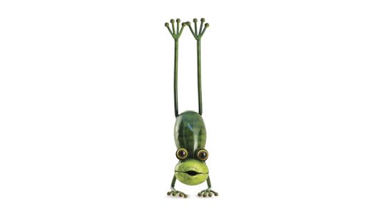 Yoga Frogs - Der Taucher