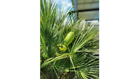 Yoga Frogs - Der Taucher, Gartenstecker, groß